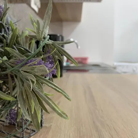 Apartment Апартамент Смирненски С Гараж *